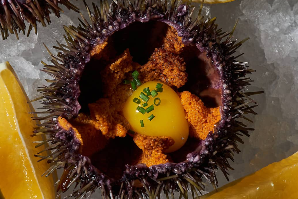 <span color-type="color" style="color: #3b2118;">6 морских ежей</span>