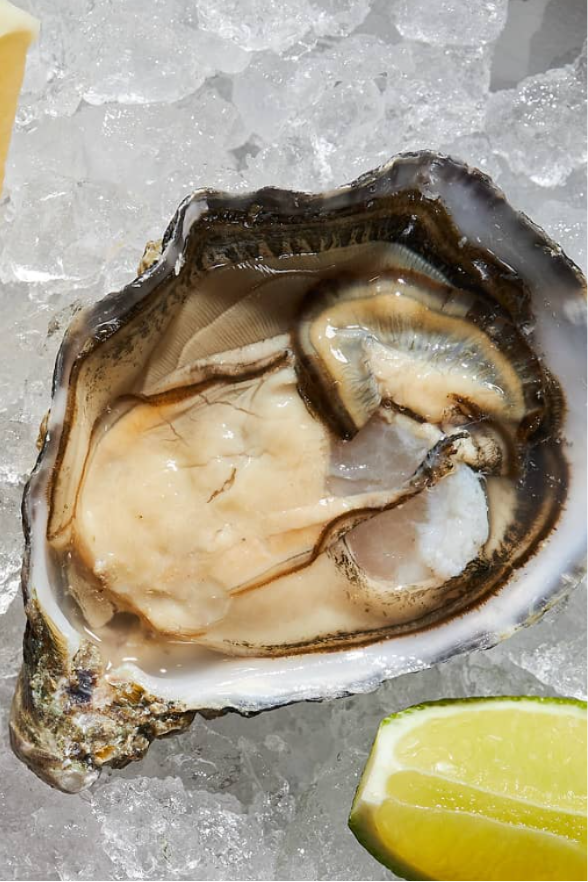 <span color-type="color" style="color: #3b2118;">6 устриц Джоли</span>